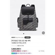 디올 SADDLE 백팩 (국내배송)