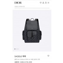 디올 DI0R SADDLE 백팩 (국내배송)