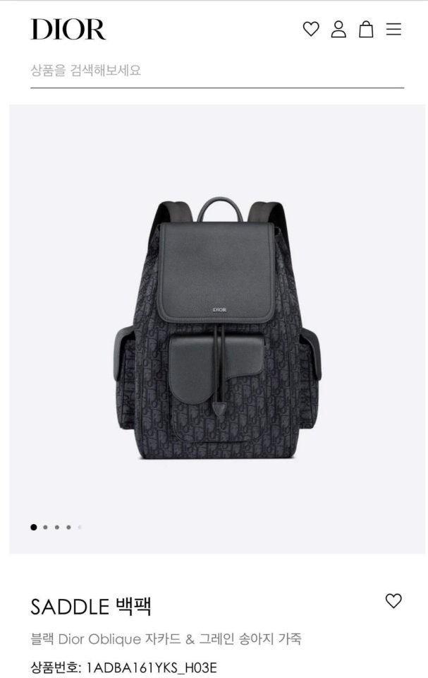 디올 DI0R SADDLE 백팩 (국내배송)