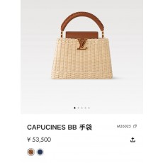 루이비통 카퓌신 BB 핸드백 (정품급 해외배송)