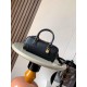 로에베 Amazona 백 (해외배송)
